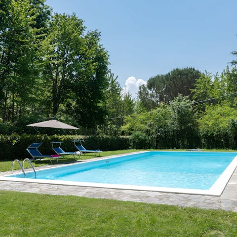 Relax by the pool in the lush green garden