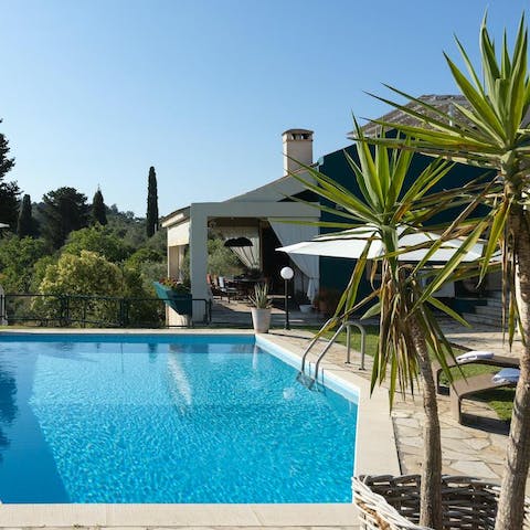 Play and swim in the large private swimming pool