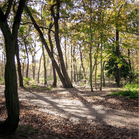Take an afternoon stroll in Bois de Boulogne, accessed at the end of your road