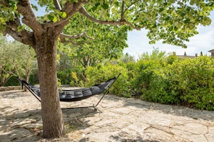 Beneath the Linden Tree image 10