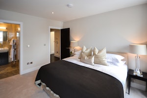 The Wigmore image 8