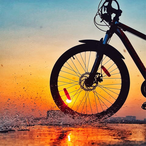 Take in a sunset with a family bike ride along the coastline