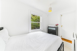 Regal Delight image 8