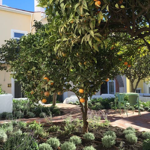 Enjoy a gentle stroll through the shared gardens