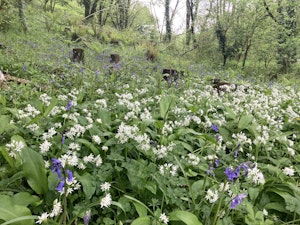 Tom Thumb image 9