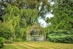 Orchard Hollow image 11