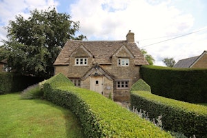The Wraxhall Rose image 14