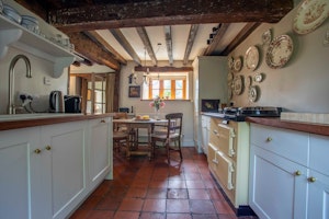 The Wraxhall Rose image 13