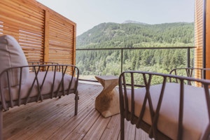 Snowy Luxury image 6