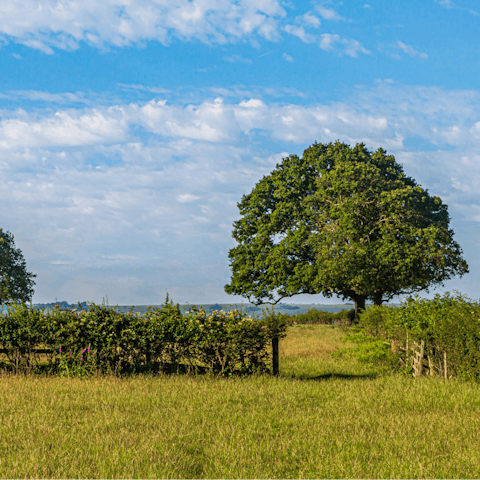 Embark on long walks through the Wiltshire countryside from your scenic location 