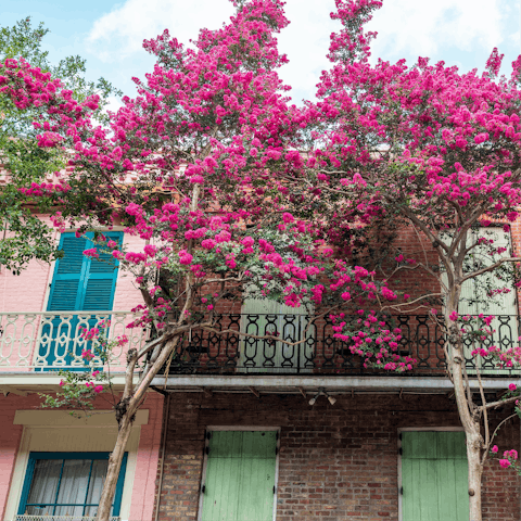 Explore the historic Lower Garden District of New Orleans