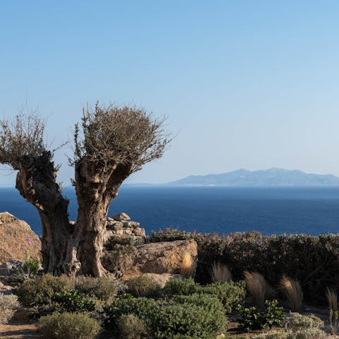 Enjoy idyllic sunset views across the Aegean from the terrace 