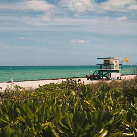 Make the short drive to Miami Beach and enjoy sun-drenched days in the sand