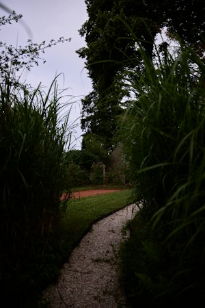 Hidden Splendour image 5
