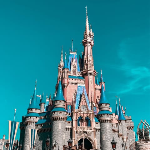 Spend the day at the magical Disney World, only 12 miles away