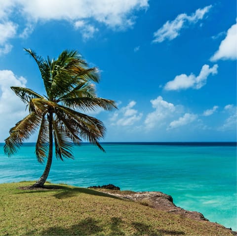 Experience the beauty of Barbados – the nearest beach is just eight-minutes away