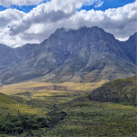 Explore the stunning natural beauty of the Jonkershoek Nature Reserve just a short drive from your doorstep