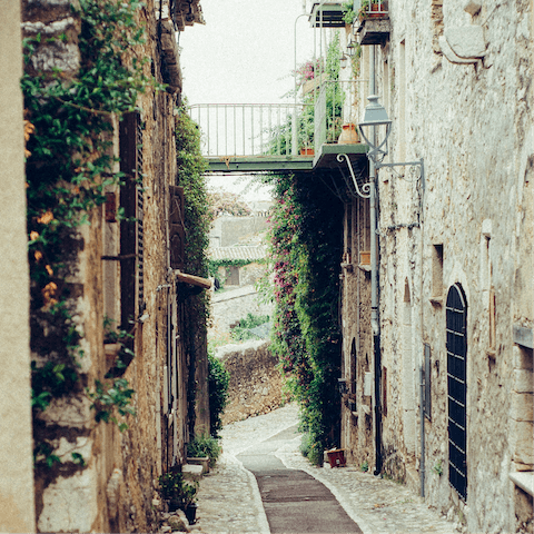 Explore the winding streets and historical architecture of Suvereto