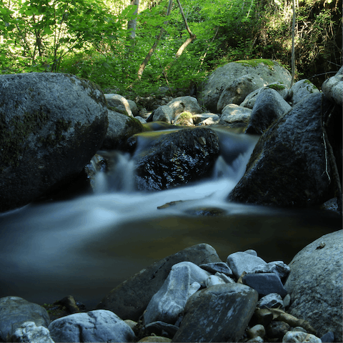 Take a hike around the Monts d'Ardèche regional park, and find pretty forests and streams