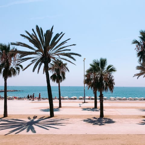 Escape the city heat with a trip to Barceloneta Beach