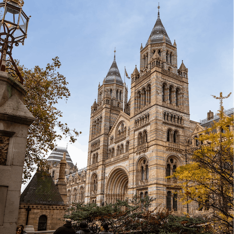 Catch the latest exhibition at the Natural History Museum, a quarter of an hour away on foot