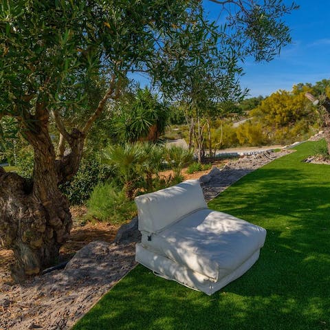 Find yourself a shaded spot beneath an ancient olive tree