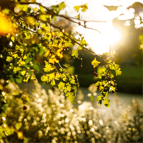 Find the perfect setting for a rustic retreat in the Suffolk countryside 