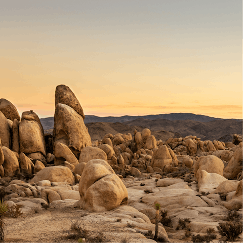 Experience the beauty of Joshua Tree – just a fifteen-minute drive away