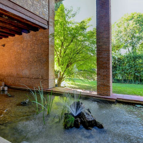 Watch the colourful fish swimming in the pond 