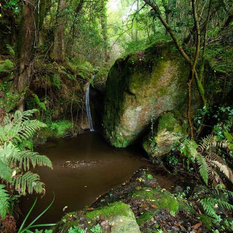 Explore local trails around Lucca and the nearby babbling brook