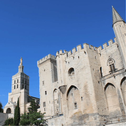 Take a tour around Avignon's mighty Palais des Papes, 15km from the home