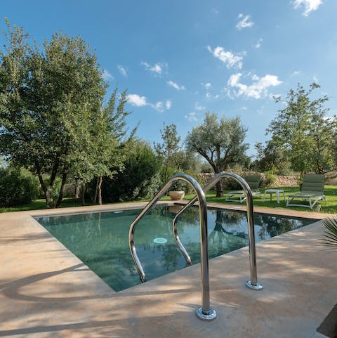 Immerse yourself in the beautiful garden with a dip in the private pool