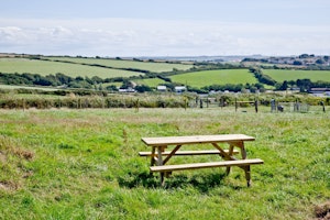 Oat & Treacle image 14