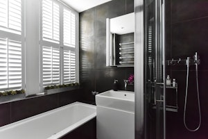 The Bijou image 12