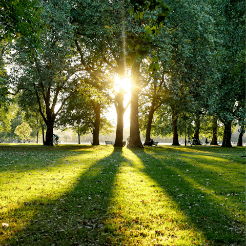 Enjoy an afternoon stroll in Hyde Park – a short walk away