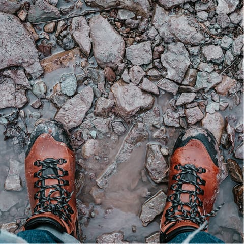 Head out on long countryside rambles