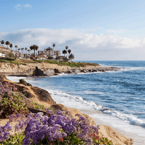 Visit La Jolla's stunning beaches