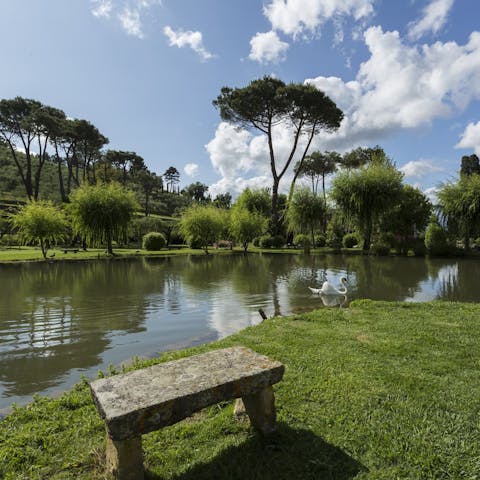 Stroll the 1,000 year-old grounds and pause for a contemplative moment