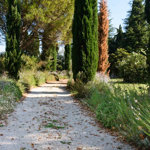 A fantastic location near Avignon and Nîmes