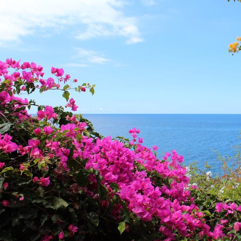 Go for a relaxing walk along the Lido Promenade, a short drive from home