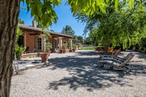 Olive Terrace image 10