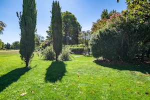 Olive Terrace image 7