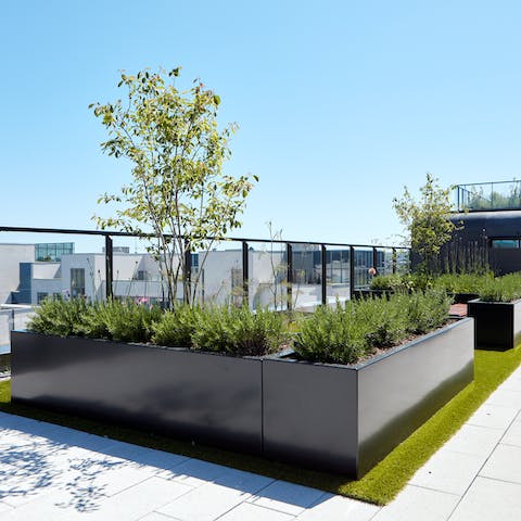 Admire an Irish sunset from the shared roof terrace