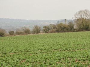 Burford Bliss image 3