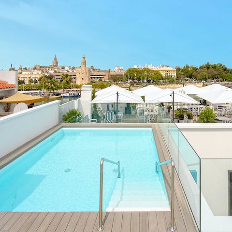 Spend sunny afternoons on the shared rooftop terrace where the pool invites cool dips 