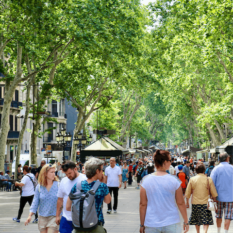 Browse the shops in Las Ramblas, a fifteen-minute walk from this home