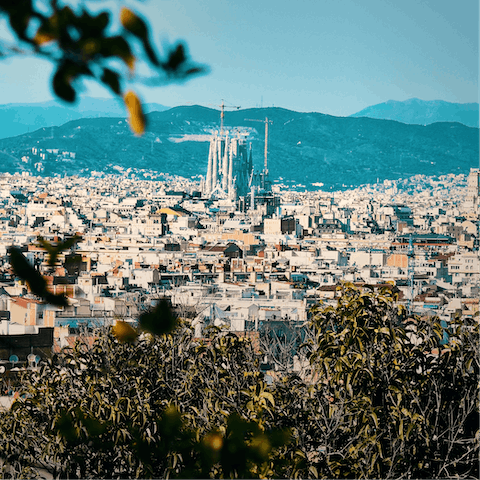 Discover all that stunning Barcelona has to offer