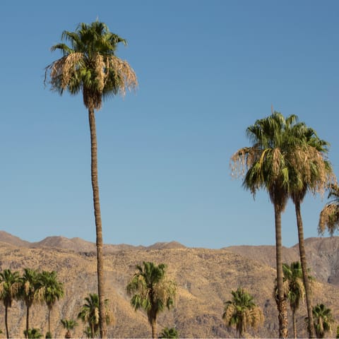 Explore the awe-inspiring landscapes around Palm Springs – Tachevah Canyon is under a mile away