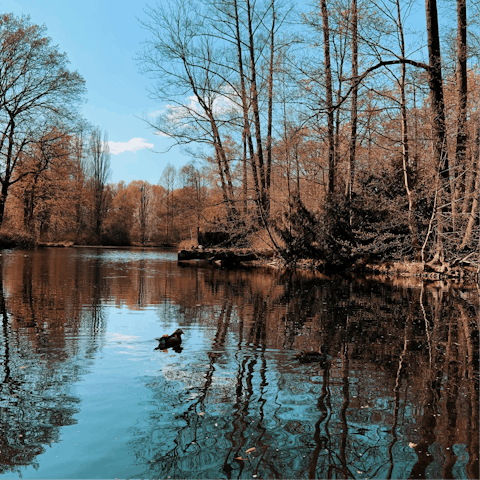 Stroll over to Tiergarten and explore the area around its gorgeous lake