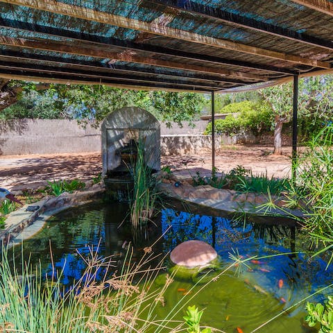 Take a moment to relax by the tranquil pond